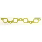 Platinum Extractor Gasket - HSM37