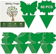 BBLIKE Fungus Gnats Control Pack of 60 Adhesive Fly Traps Potted Plants Fruit Flies Papers Control for Flies, Multiple Insects, Non-Toxic, Waterproof Fly Catcher (Green, 60 Pieces)