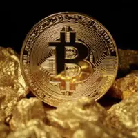 在飛比找樂天市場購物網優惠-24K 仿金 Bitcoin 金幣BTC外幣美元世界錢幣 比