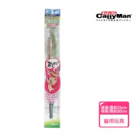 在飛比找momo購物網優惠-【CattyMan】貓用靈動蘆葦芒草雙色逗貓棒 2支裝(寵物