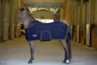 Kensington Poly Cotton Stable Sheet Mini Fit 42'' Navy