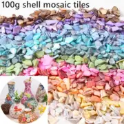 100g Shell Mosaic Tiles Irregular Natural Conch DIY Making Crafts Art Decor