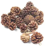 Pine Cones, Christmas Rustic Pinecones Fall Garland Halloween Natural