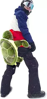 Protective Gear for Skiing Skating Snowboarding Cute Turtle Tortoise Cushion Gre