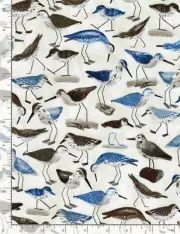 Bird Fabric Water Birds Sandpiper Fowl Cotton Timeless Treasures C8290 By Yard