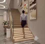 12/18 STEPS MOTION-ACTIVATED SMART STAIR LIGHT Cascading | Looping