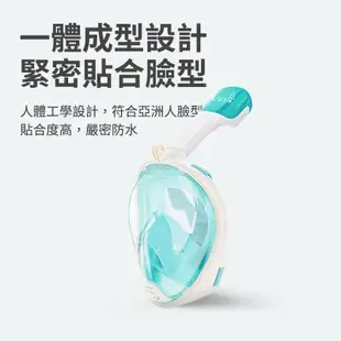 【台灣現貨】游泳神器韓國BLUEFIN 全罩式 浮潛呼吸面罩 浮潛 潛水 游泳 面罩