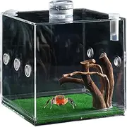 Clear Reptile Cage,Acrylic Jumping Spider Clear Terrarium | Clearer View Small Pet Container for Snails, Lizards, Beetles, and Turtles