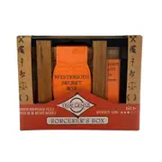 Project Genius Sorcerer’s Box Themed Interactive Problem Solving Puzzle 8+
