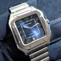 在飛比找蝦皮購物優惠-手錶瑞士男士山度士系列自動機械男表腕錶WSSA0037灰盤鋼