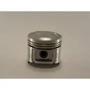 Austral Piston Set - PO1225 020