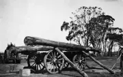 Fentons Creek Victoria pre 1930 A man rolling logs Australia OLD PHOTO