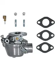 Carburetor 181643M91 With Gasket For Massey Ferguson TO30 TO20 TE20 Replace 181643M91
