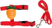 WOONEKY 1 Set Harness and Leash Kit for Pets Practical Outdoor Walking for Rabbits Ferrets and Hamsters Comfortable and Flexible Design