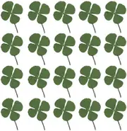 24pcs Natural Pressed Dried Flowers Four-Leaf Clover Leaf Plant for DIY Resin Jewelry Making Art Craft