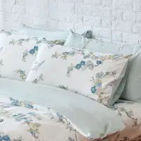 在飛比找momo購物網優惠-【伊德生活】埃及棉床包枕套組 南春 雙人(埃及棉、床包、枕套