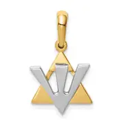 14k Two-tone Gold Star of David w/Shin Charm