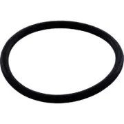 Jandy Zodiac R0544000 O-ring WMS Upper to Vactube Interface