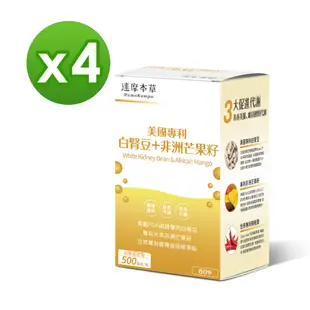 【達摩本草】美國專利白腎豆+非洲芒果籽x4盒(60顆/盒)