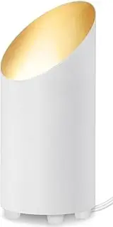 Uplighting Indoor Floor Can Light, Up Lights Indoor with 2700K LED GU10 Bulbs, 5W Uplights Indoor Floor Spot Lights Indoor for Home Accent Lighting, 5.9 FT Plug Cord & Foot Switch (White-Bevel)