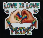 Handmade Acrylic Love Is Love Pride Lapel Pin/Brooch 40x37mm