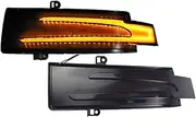 Turn Signal Lights for Benz ML GLE GL GLS R G Class W166 & Coupe C292 X166 W251 W463 LED Dynamic Turn Signal Light Side Mirror Indicator Parts 2Pcs Turn Signal Lights