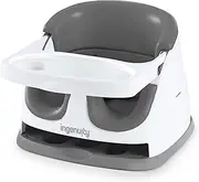 Ingenuity Baby Base 2-in-1 Booster Feeding and Floor Seat with Self-Storing Tray, Slate