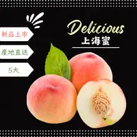 在飛比找台灣好農優惠-梨山公主 上海蜜水蜜桃 大果5顆