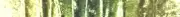 DESIGNERS GUILD Eberson Bernardini Weaves Chartreuse Green Belgium Remnant New