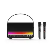 Karaoke Machine with Retro Flame Light-Portable PA System with 2 Wireless Ult...
