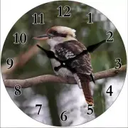 Clock Australian Animal Kookaburra Glass Wall Clocks 30cm