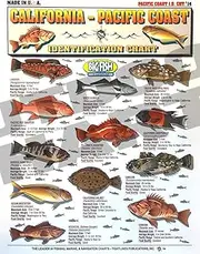 California to Pacific Coast Fish Identification #14 - Waterproof Quick Reference Guide | Portable & Built to Last | Double-Sided & Easy to Read | (Size, Weight, Location, Food Quality, And Coloring)