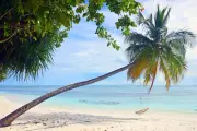 Palm Tree Swing Tropical Beach Paradise Photo Poster 18x12