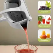Heavy Duty Manual Fruit Juicer Press Lemon Orange Squeezer Extractor Citrus';