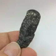 MeldedMind Rough Ruby Stick 1.57in Natural Red Gemstone Crystal 171236