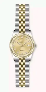 CC Luxury 31mm (face) Clasic Watch. Two Tone & Brown