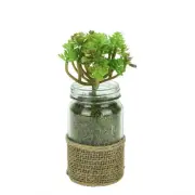 Melrose Artificial Potted Crassula Succulent Plant Glass Jar Burlap Grip 7.25"