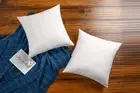 22Ã—22 Premium Goose Down Feather Throw Pillow Inserts(Set of 2)-5% Down Filli