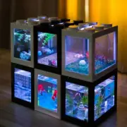 Creative Multicolor Stackable Building Blocks Ecological Mini Aquarium Fish Tank