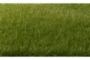 Woodland Scenics 4mm Static Grass Dark Green