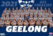 Geelong cats team poster, AFL football, Carlton blues ,pies, dogs,crows, swans