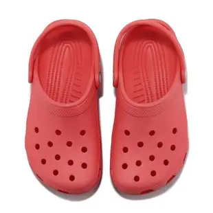 Crocs 洞洞鞋 Classic Clog K 中大童 西瓜紅 經典 克駱格 童鞋 涼拖鞋 卡駱馳 2069916VT