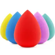 5 Pcs Makeup Sponges Set, Foundation Blending Paw Paw Sponge, Latex Free Beauty