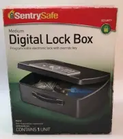 SentrySafe Portable Security Safe Box with Programmable Digital Keypad (30542)