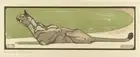 Puma : Bernard Willem Wierink : 1915 : Archival Art Print