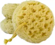 Exfoliating Foam Sea Sponge Redesigned- Shower & Bath Sponge (Pack of 6)