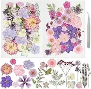 Dried Pressed Flowers Mixed Colorful Daisy Herbs Kit Resin Real Pressed Flowers Natural Dry Leaves Bulk with Tweezers for Making Nails Decoration Scrapbooking DIY Jewelry Candle Crafts