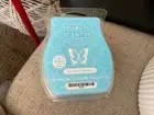 NEW……BLUE AGAVE & MELON…..Scentsy Wax Bar