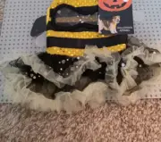 Simply Wag Halloween Bumble Bee Costume Dogs -Large