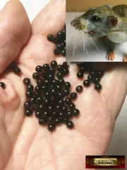 M00586-FS MOREZMORE 4mm Needle Felting Eyes Black Beads Animal or Puppet